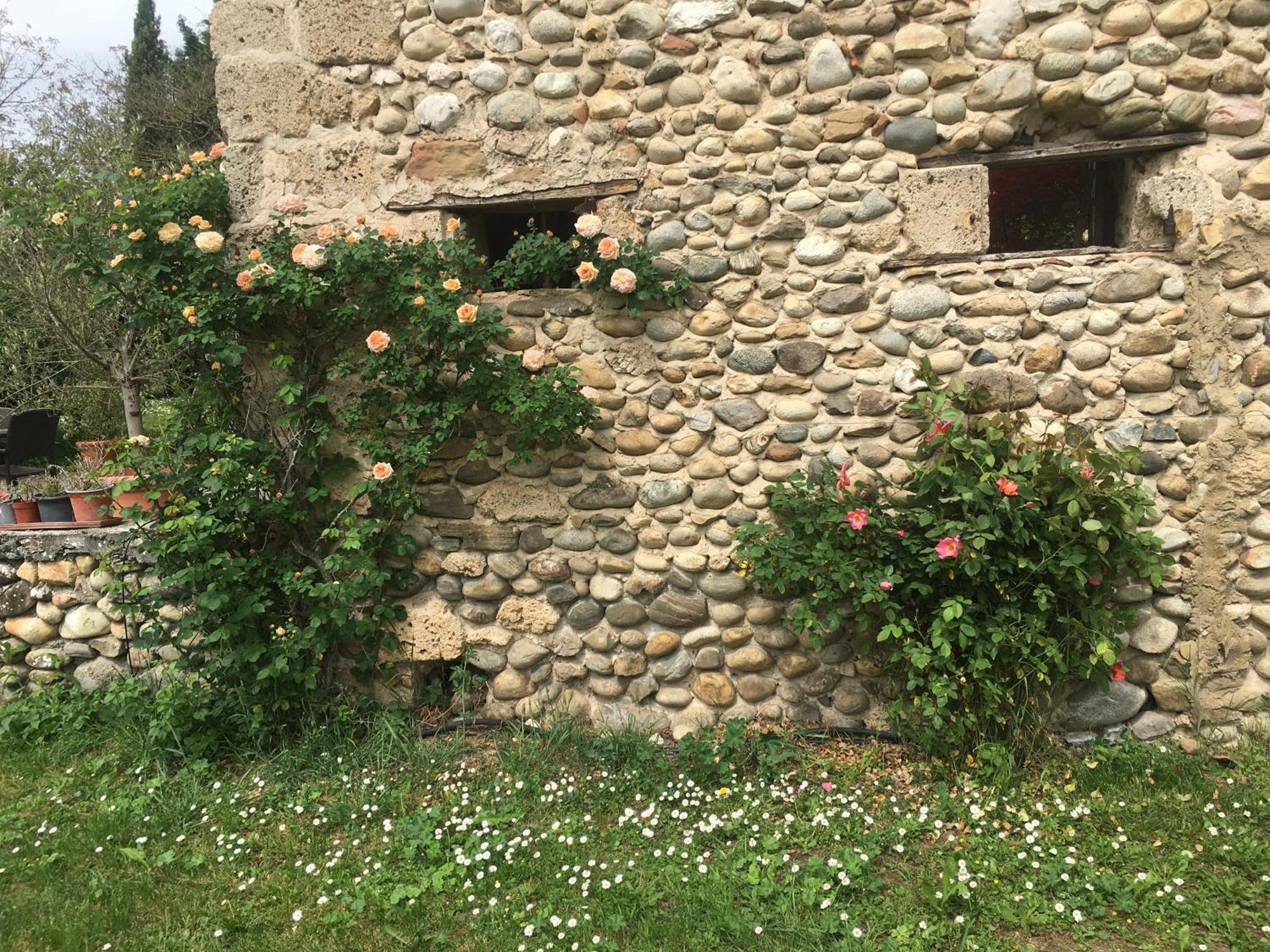 Vercors En Vert , Chambres D'Hotes De Charme Saint-Romans  Buitenkant foto