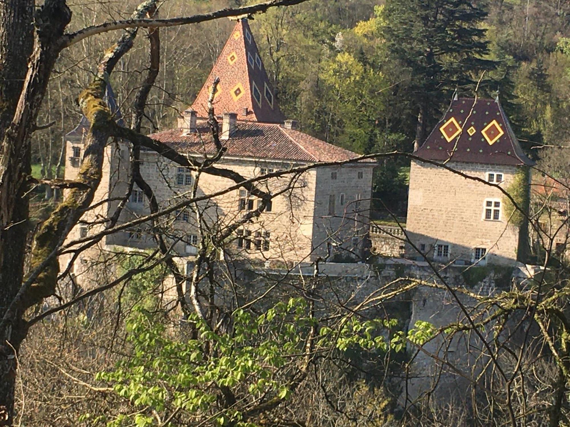Vercors En Vert , Chambres D'Hotes De Charme Saint-Romans  Buitenkant foto